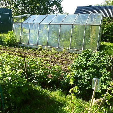 Traumhaftes Luxus-Ferienhaus Warnkenhagen  Zewnętrze zdjęcie