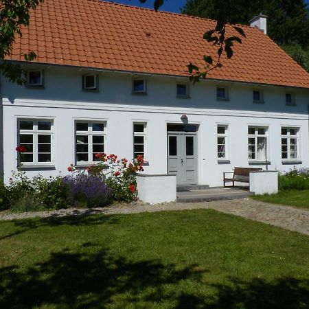 Traumhaftes Luxus-Ferienhaus Warnkenhagen  Zewnętrze zdjęcie