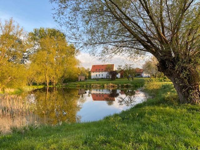 Traumhaftes Luxus-Ferienhaus Warnkenhagen  Zewnętrze zdjęcie