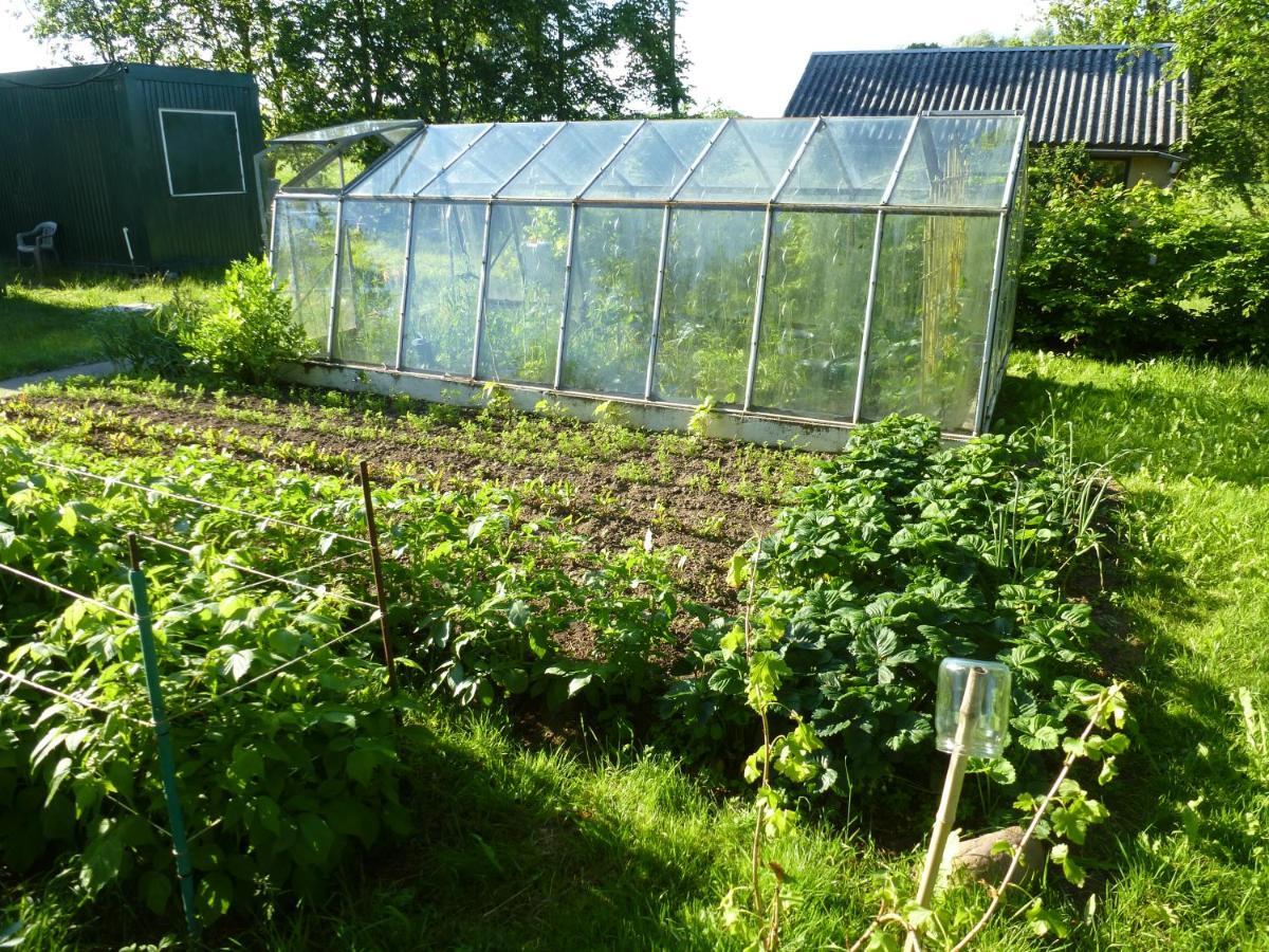 Traumhaftes Luxus-Ferienhaus Warnkenhagen  Zewnętrze zdjęcie